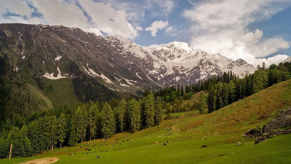 ग्रेट हिमालयन नेशनल पार्क